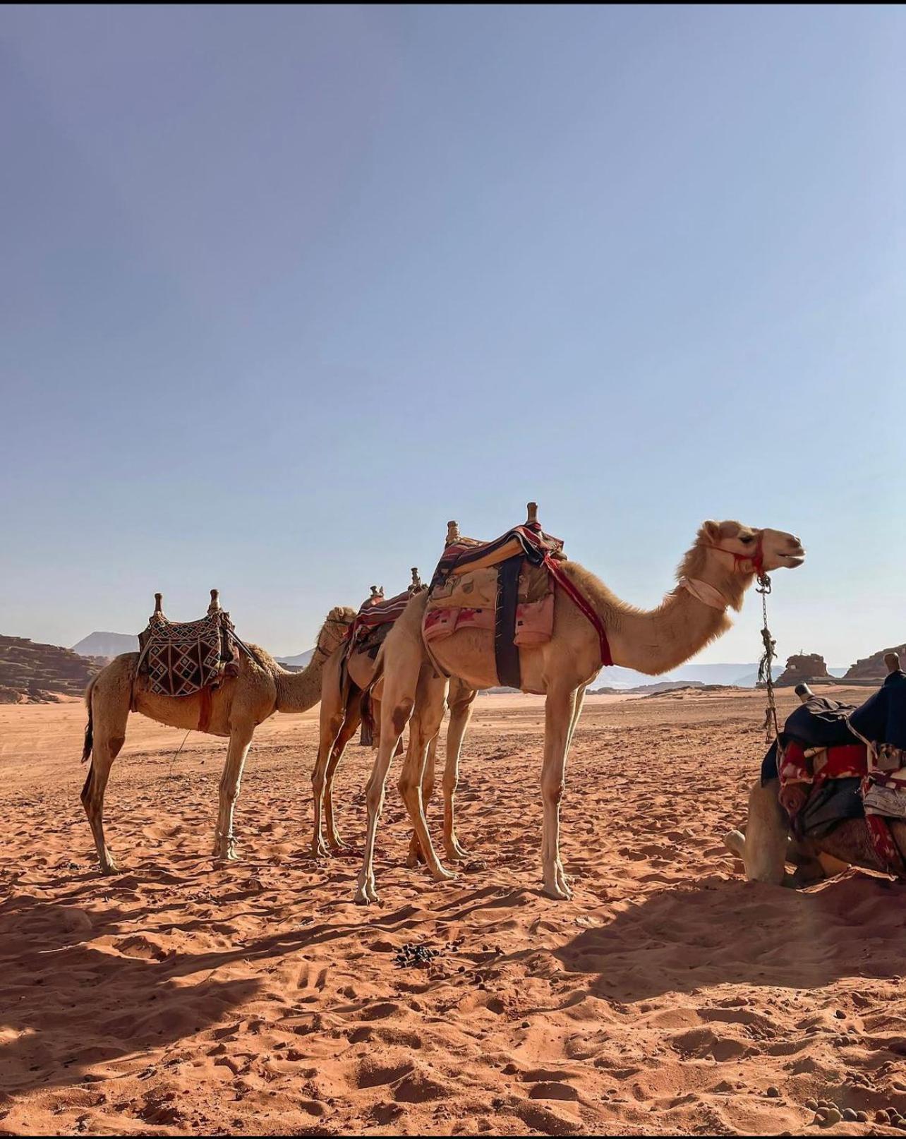 Wadi Rum Desert Camp Ad Disah Екстер'єр фото