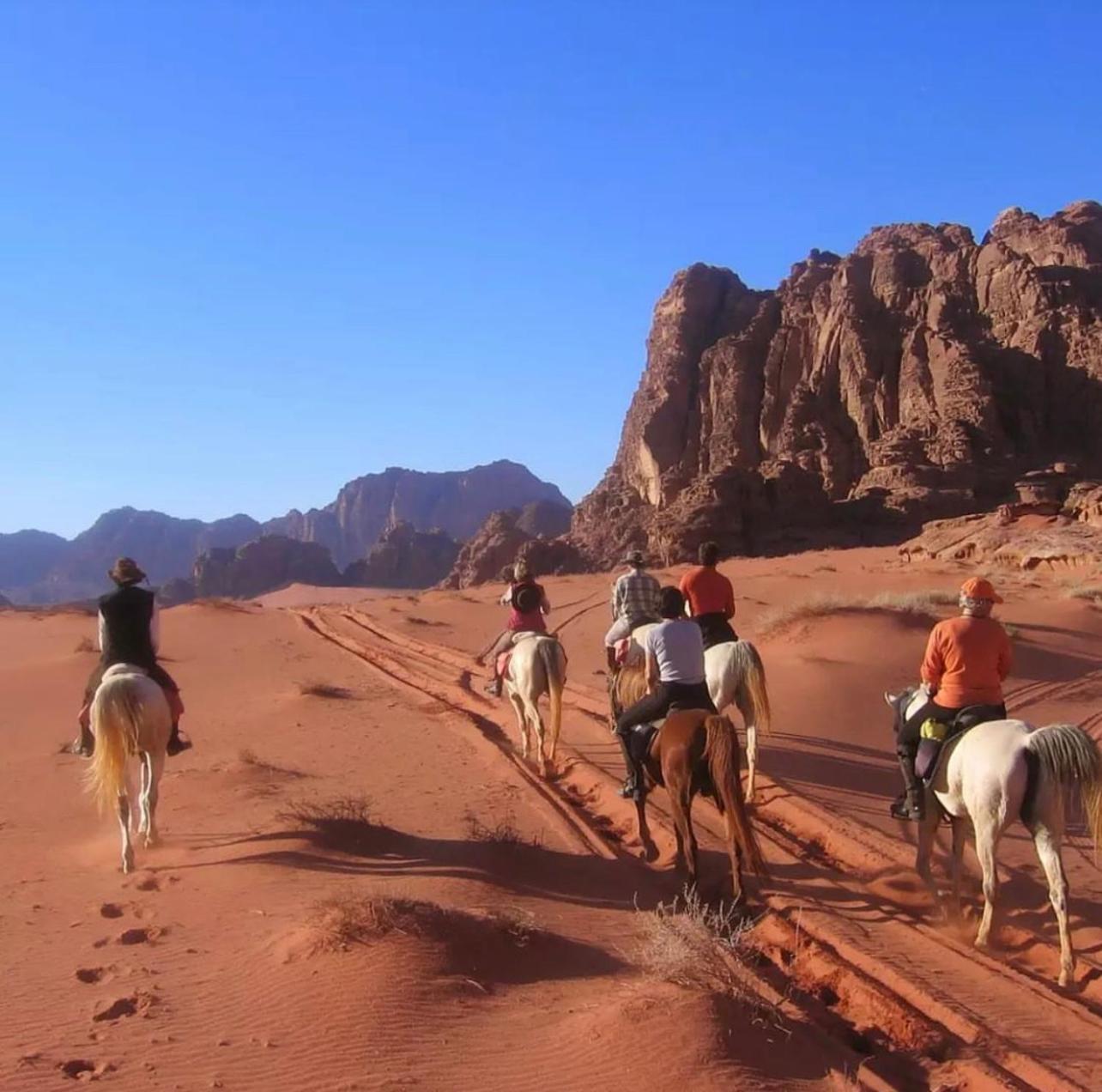 Wadi Rum Desert Camp Ad Disah Екстер'єр фото