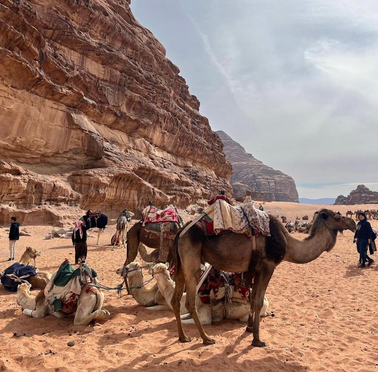 Wadi Rum Desert Camp Ad Disah Екстер'єр фото