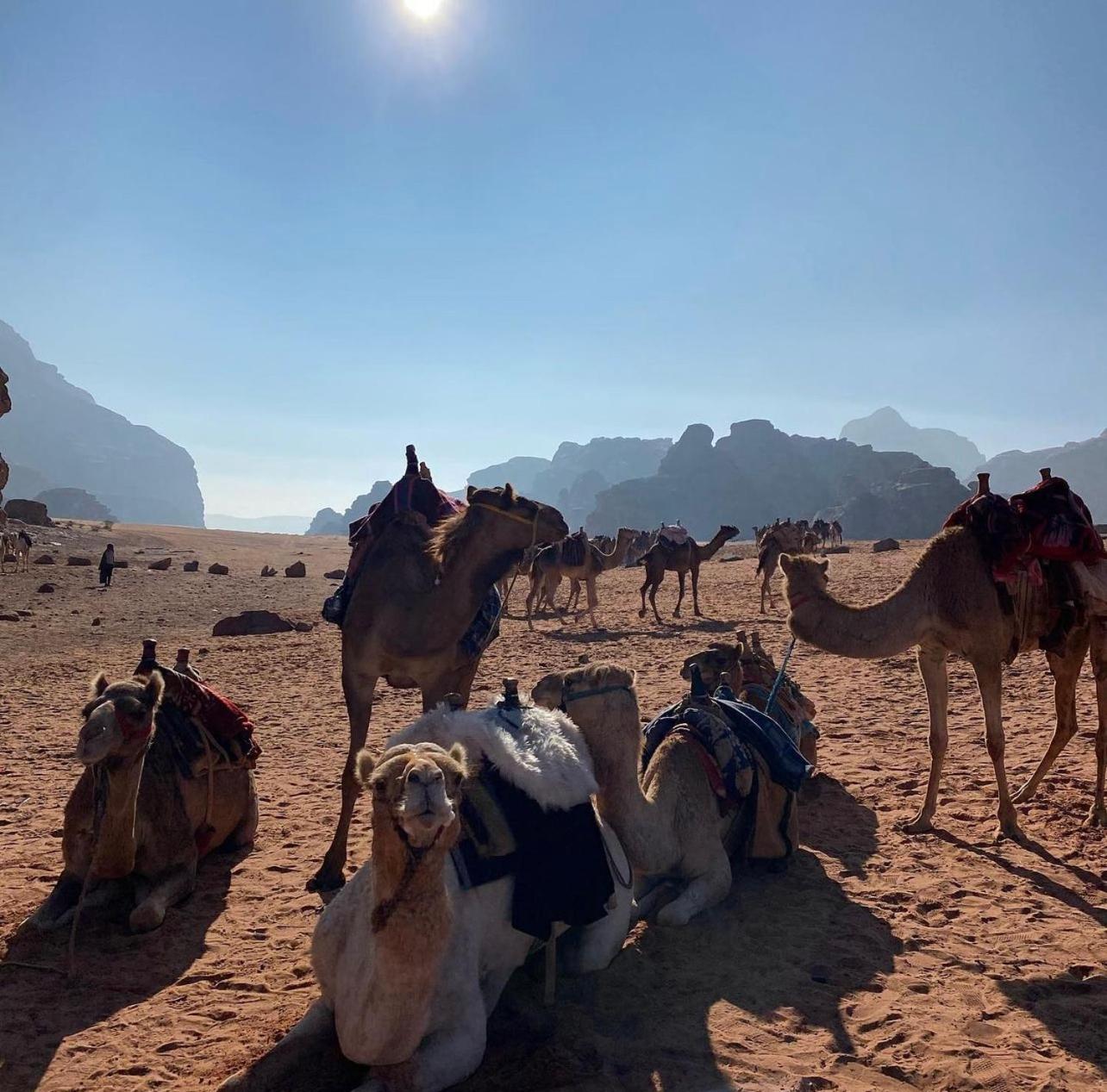 Wadi Rum Desert Camp Ad Disah Екстер'єр фото